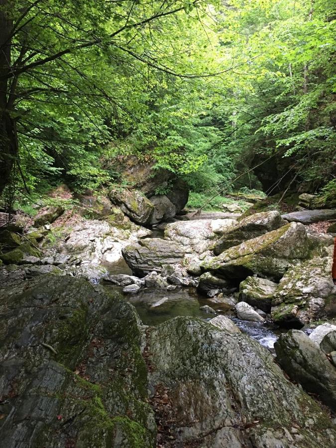 Ferienwohnung Raabklamm Arzberg Exterior foto